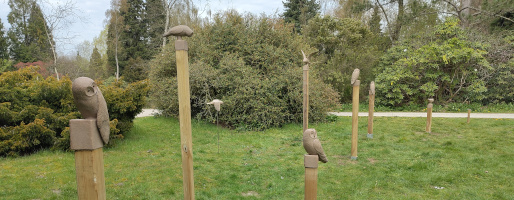 overzicht van de installatie op de tentoonstelling Ode aan de Natuur