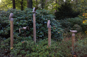 velduilen rechter groep
